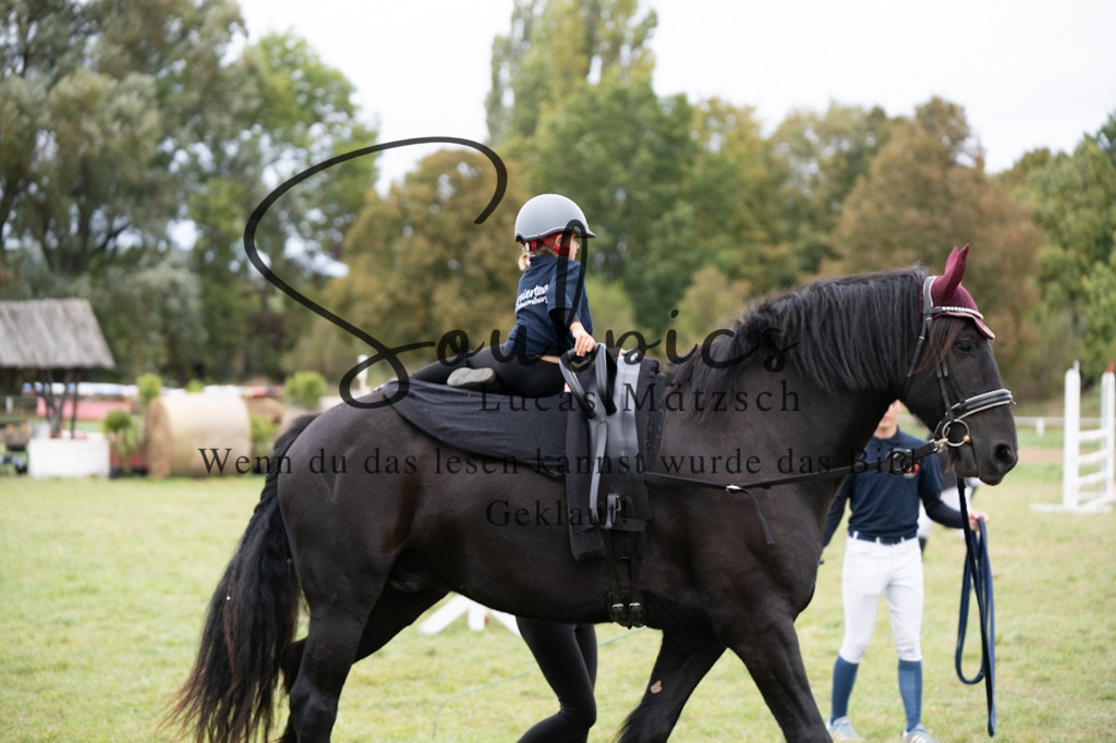 A7V07219 | Pferdefotograf