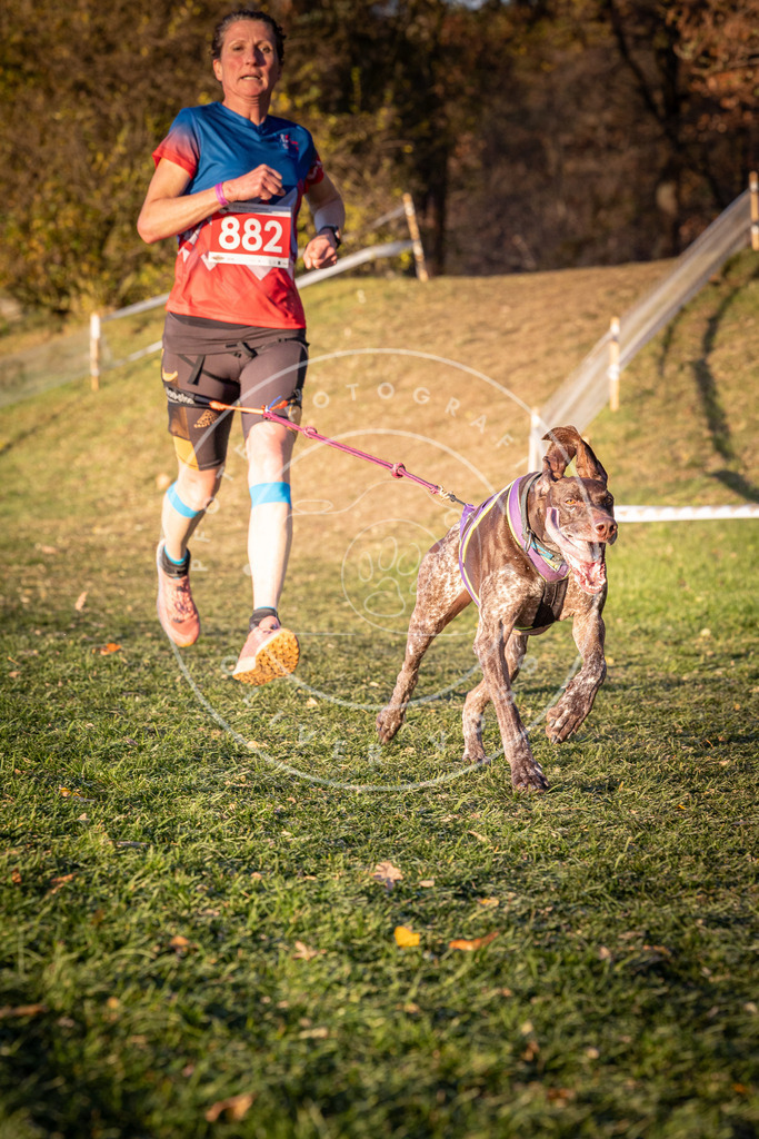 CaniXpix_0L8A1174 | Hundefotografie, Tierfotograf, Pfotenfotografie, Fotoshooting Hund, Hunde Portrait, Hundesport, Hundeportraits, Heideshooting, Hunde, Sportfotograf, Hundefotograf, Turnierhundsport, THS,  - Realisiert mit Pictrs.com