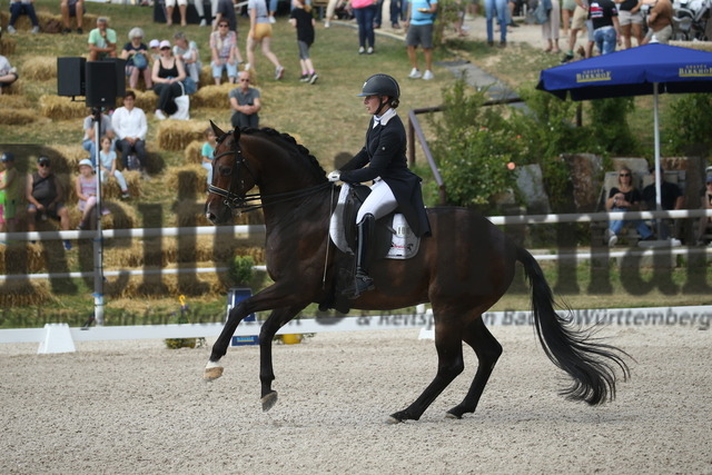 Birkhof_2022_GrandPrixSpecial_Nicole Isser_DiCaprio 4 (21) | Alle Fotos der Reiterjournal Fotografin Doris Matthaes im Reiterjournal Online-Fotoshop. - Realisiert mit Pictrs.com