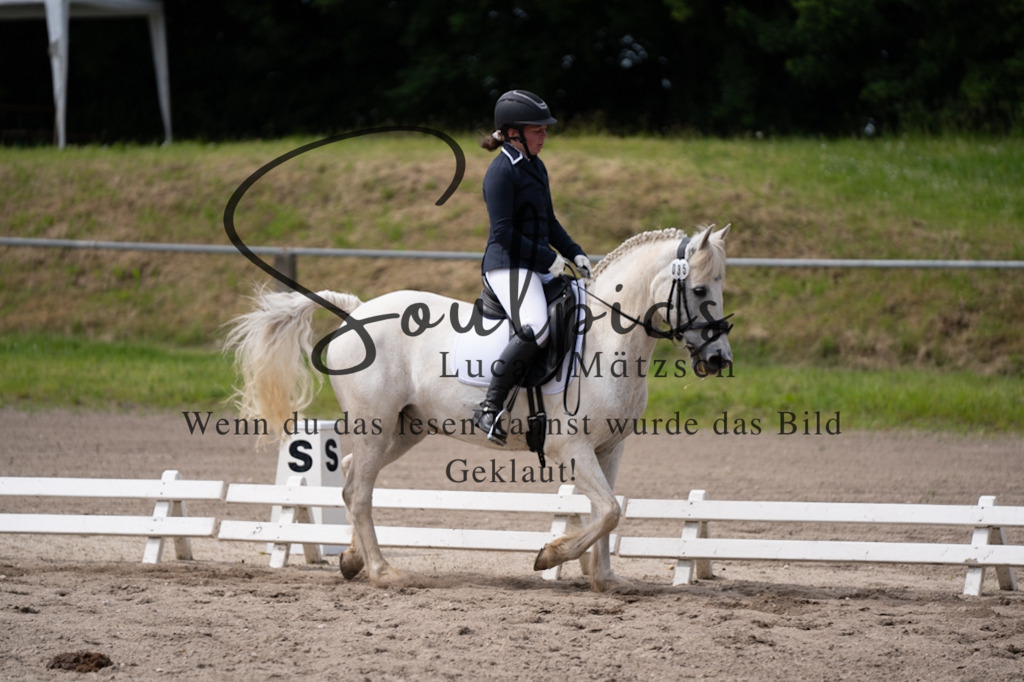 A7V02757 | Pferdefotograf