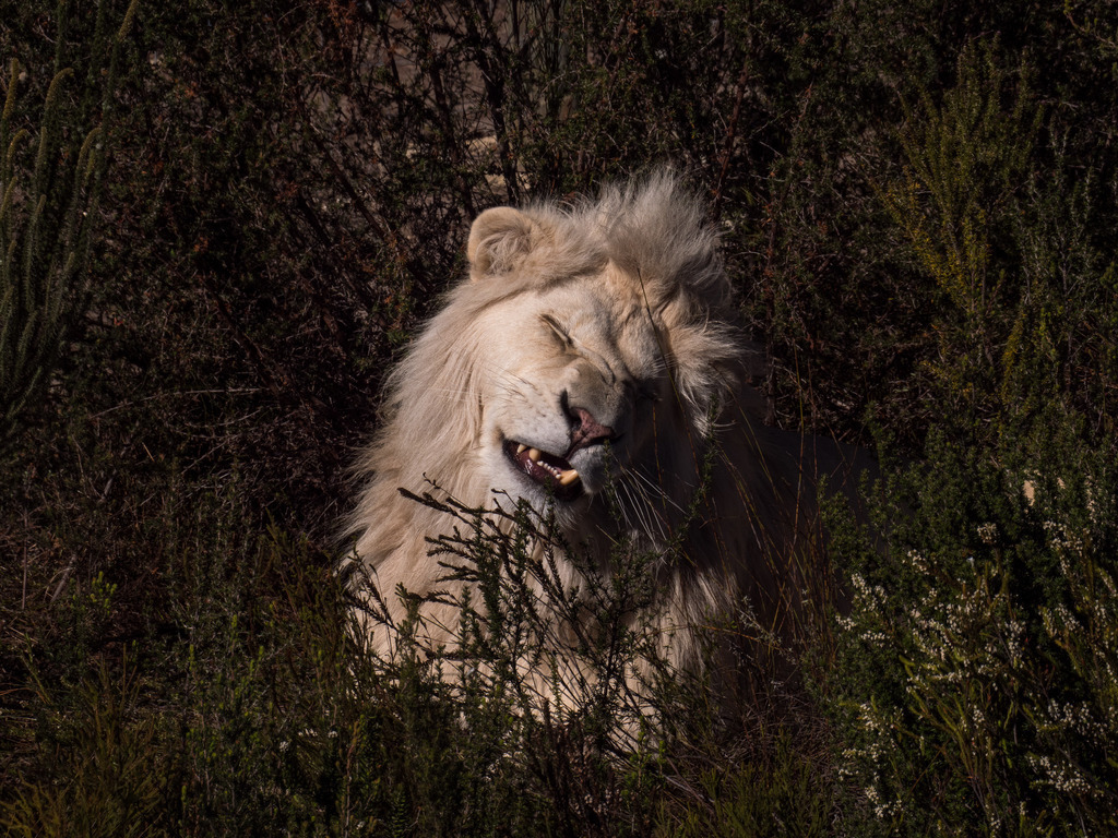 PANA3077-LR | Natur im Moment - Realisiert mit Pictrs.com