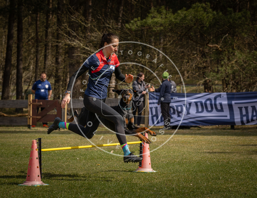 Pfotenfotografie_DV3A3822 | Hundefotografie, Tierfotograf, Pfotenfotografie, Fotoshooting Hund, Hunde Portrait, Hundesport, Hundeportraits, Heideshooting, Hunde, Sportfotograf, Hundefotograf, Turnierhundsport, THS,  - Realisiert mit Pictrs.com