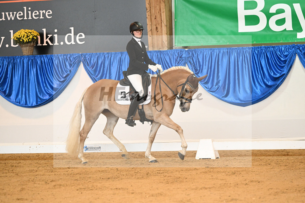 Kat-Nr. 293 Only_Aicher_54221694 | hf-fotografie - Realisiert mit Pictrs.com