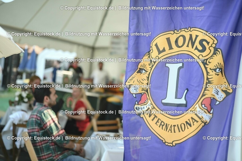 D78_3804 | equistock