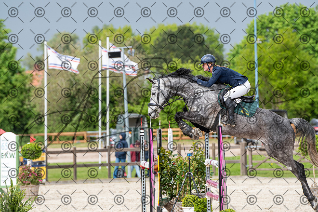 KPT_9847 | andre_photographic