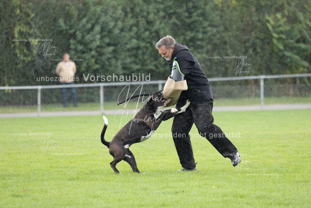_16A7156 | Einzigartige Fotos von Hunden & Menschen –Actionfotos, Portraits, Vereinsaufnahmen & Paarshootings – authentisch, lebendig & mit Herz.