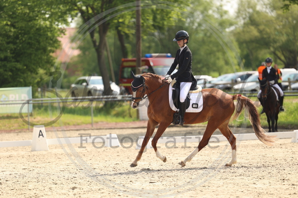 994A6752 | sabrinanicolaifotografie - Realisiert mit Pictrs.com