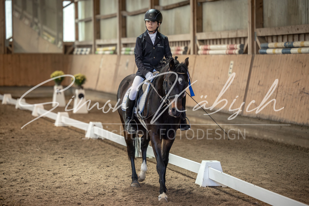 20251011-_3LI8176 | Tierfotografie Pferde, Hunde, Katzen, Haustiere.
Turnierfotografie Reitturniere, Reiten, Springreiten, Dressur in Hanau, dem Main-Kinzig-Kreis und dem Rhein-Main- Gebiet um Frankfurt