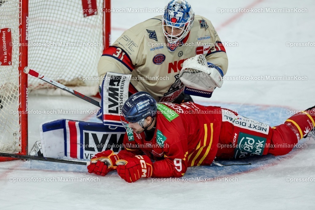DEG02032501018 | 02.03.2025, Eishockey, Penny DEL, Düsseldorfer EG - Nürnberg Ice Tigers, PSD-BANK Dome: Rick Schofield (DEG #9) liegt neben Goalie Niklas Treutle (NIT #31) auf dem Eis