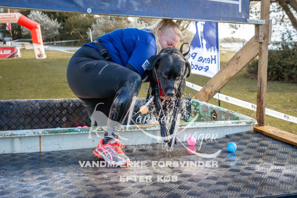 1449_ZZ95064-2 | kk-dogfotos