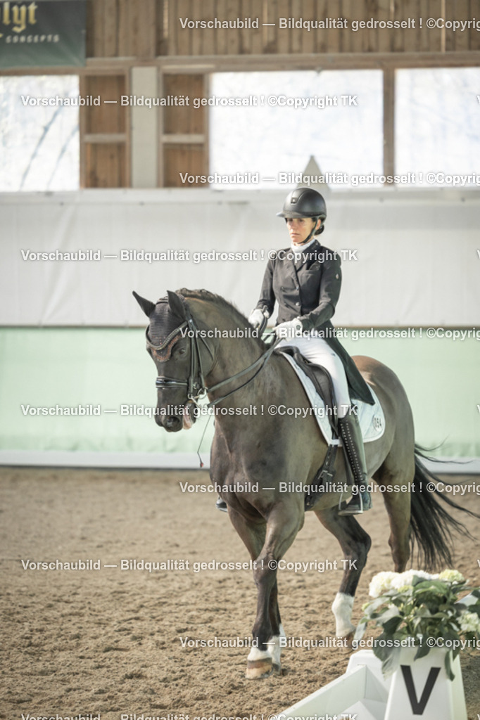 _D5A2157 | Emotionale Pferde- & People-Fotografie rund um Heidelberg, Leimen & Umgebung. Natürliche Fotos von Pferd, Mensch & Familie. Jetzt Termin sichern!