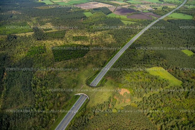 Schermbeck240402067UefterMark | Luftbild, Waldgebiet Üfter Mark, Autobahn A31 mit Grünbrücke bzw. Wildbrücke für gefahrlose Überquerung von Wildtieren, Wildwechsel, Altschermbeck, Schermbeck, Münsterland, Nordrhein-Westfalen, Deutschland