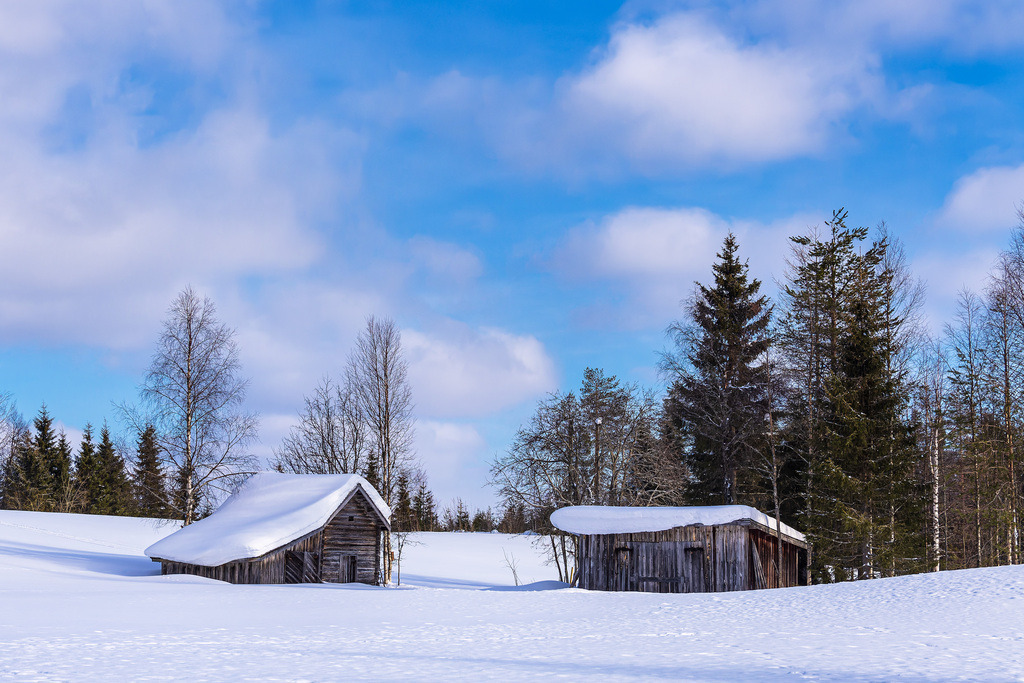 Landschaft mit Schnee im Winter in Kuusamo, Finnland | Landschaft mit Schnee im Winter in Kuusamo, Finnland.