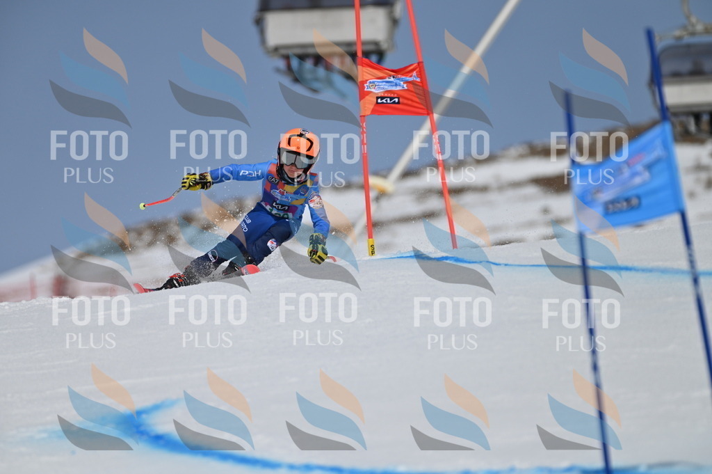 BGV_3329 | holidayphoto