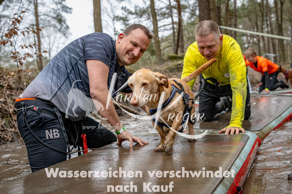 1245DSC_8045-2 | kk-dogfotos