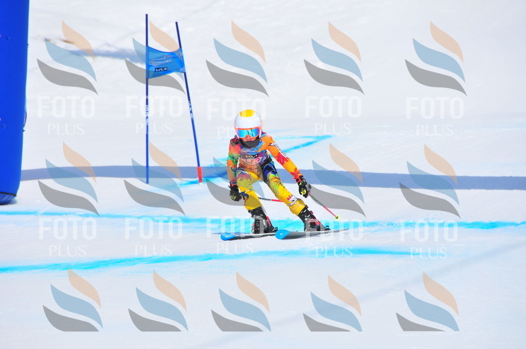 DSC_5286 | holidayphoto