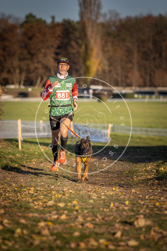 CaniXpix_DV3A4325 | Hundefotografie, Tierfotograf, Pfotenfotografie, Fotoshooting Hund, Hunde Portrait, Hundesport, Hundeportraits, Heideshooting, Hunde, Sportfotograf, Hundefotograf, Turnierhundsport, THS,  - Realisiert mit Pictrs.com