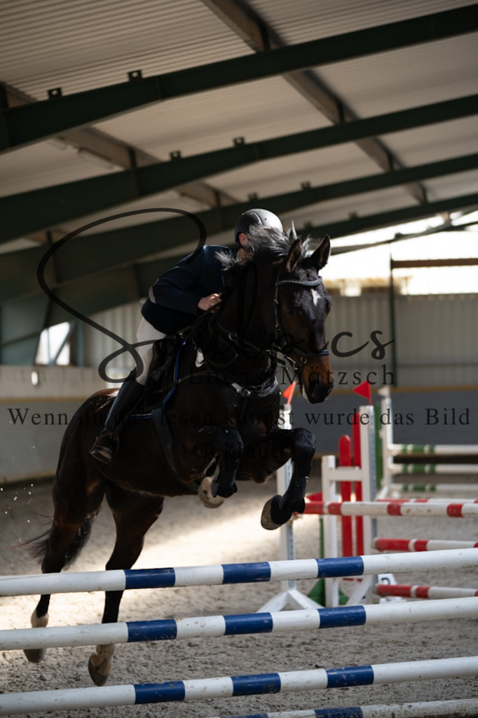 A7V08206 | Pferdefotograf