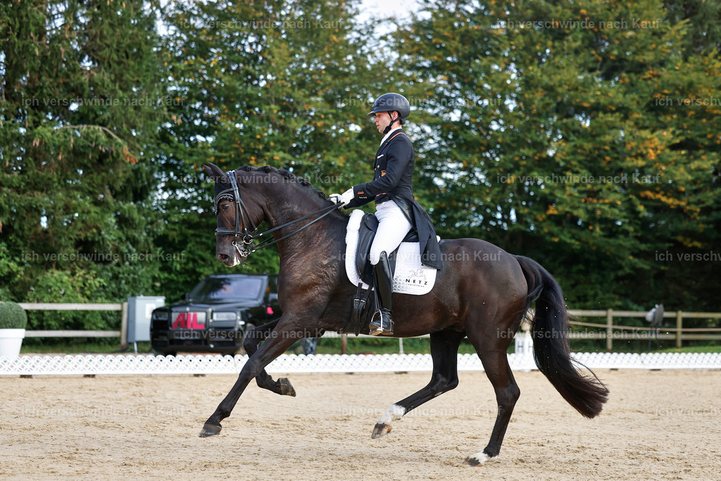 13-229-S___ -StoibPH-6981 | working equitationturnier fotograf videograf stoibphotography marixx film working equitation deutschland reitsport turnierfotografie eventfotografie equestrian events