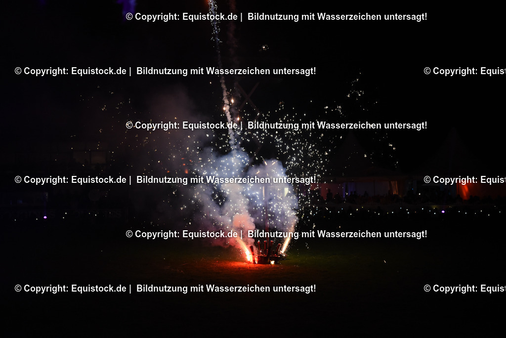 20230526_Pferdenacht_1627 | equistock