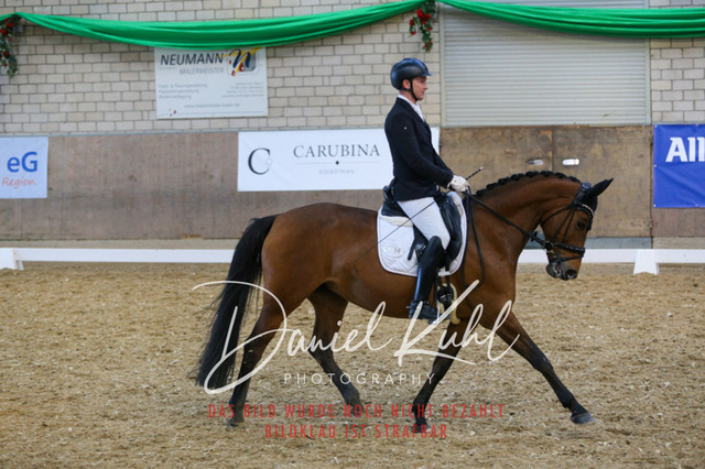 IMG_2747 | Turnierfotos kaufen im Webshop von Daniel Kuhl Photography – entdecke professionelle Reitsportfotos aus Turnieren & Events. Hochwertige Turnierbilder online bestellen & sichern. Jetzt Fotos von Reitsportturnieren kaufen!