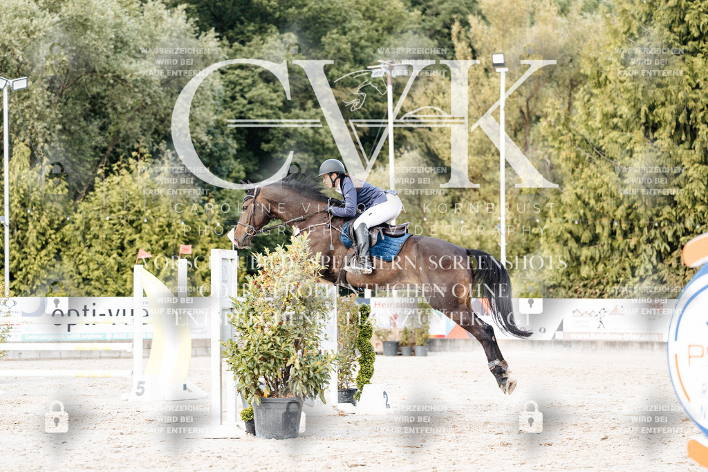 CK903798 | Turnierfotografie Pferdefotografie Trier Rheinland-Pfalz Pferdesport Reitsport Tierfotografie Sportfotografie Pferdevideo Pferdevideografie Equestrianvideography equestrianphotography  - Realisiert mit Pictrs.com