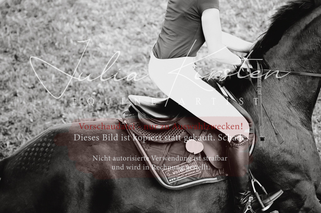 DSC_2558 | Pferde- und Turnierfotografie in Westsachsen. Pferdeportraits, Auftragszeichnungen und intuitive Kunst.