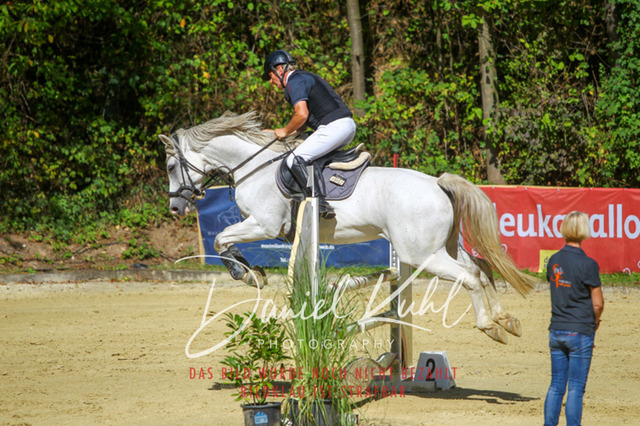 DKP43293 | Turniersportfotografie; Pferdefotografie; Dressurfotografie