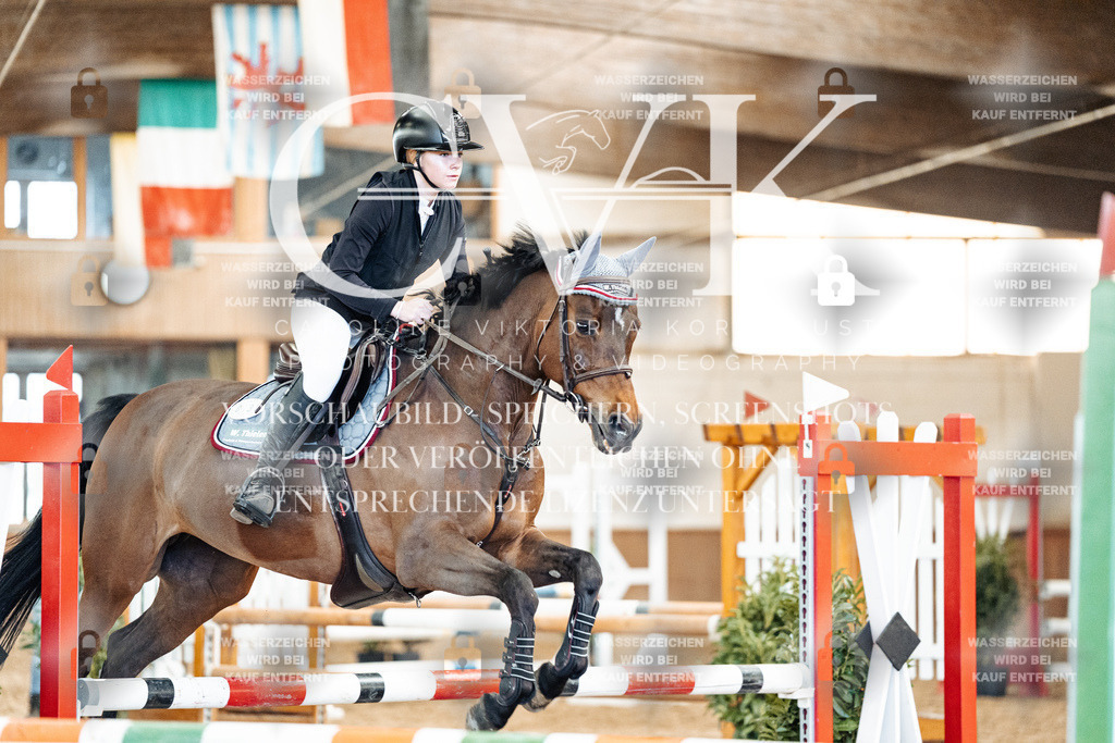 CK905236 | Turnierfotografie Pferdefotografie Trier Rheinland-Pfalz Pferdesport Reitsport Tierfotografie Sportfotografie Pferdevideo Pferdevideografie Equestrianvideography equestrianphotography  - Realized with Pictrs.com