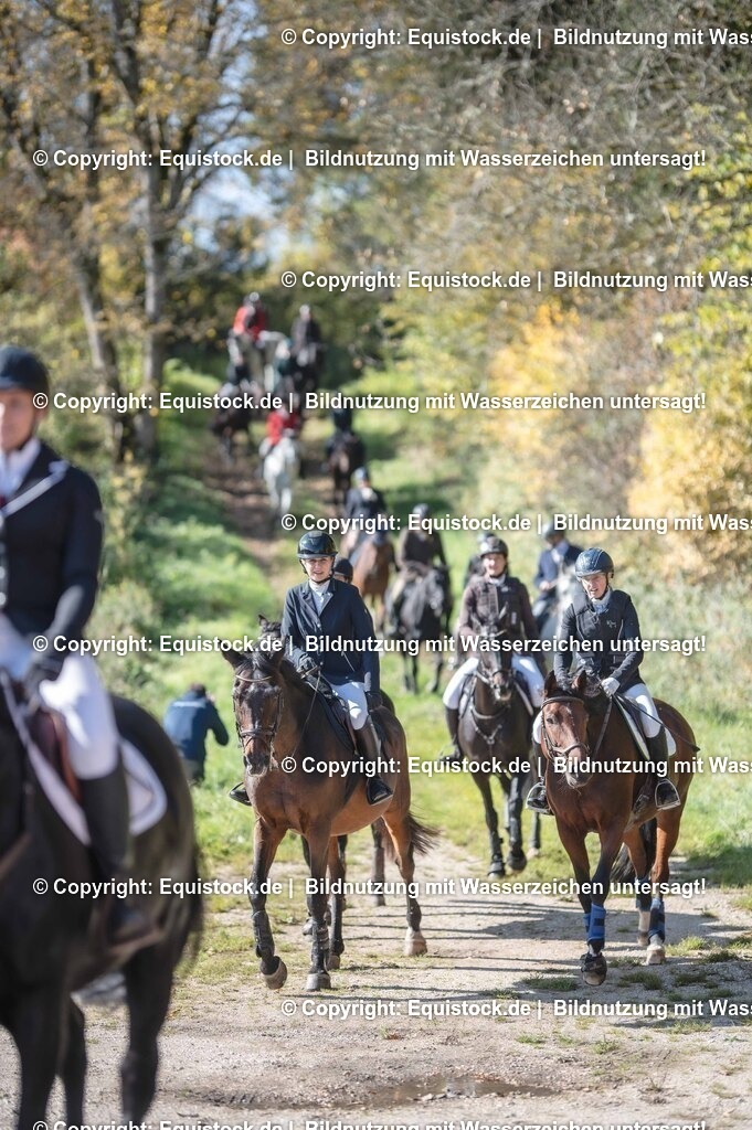 20251011_Jagd-Marbach_0478 | Foto: Thomas Hartig