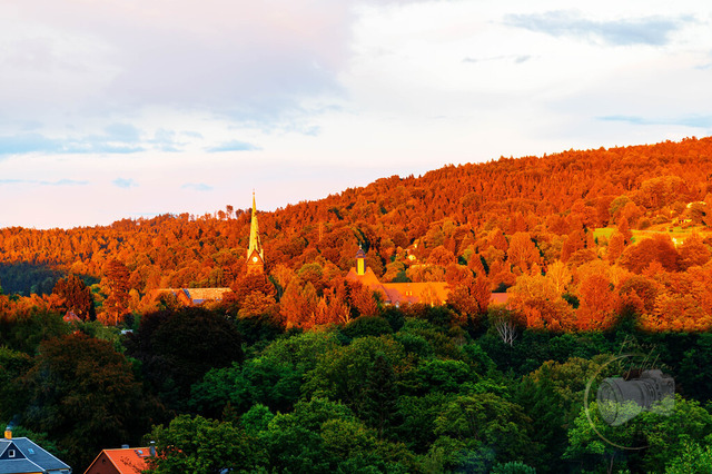 _DSC8430 | Shop für Prints Landschaftsfotografie Sächsische Schweiz Naturfotografie in Thüringen Fotos vom Findlingspark Nochten Kloster Sankt Marienstern Bilder Festung Königstein PanoramaRhododendronpark Kromlau FotogalerSchleswig-Holstein Küstenlandschaften