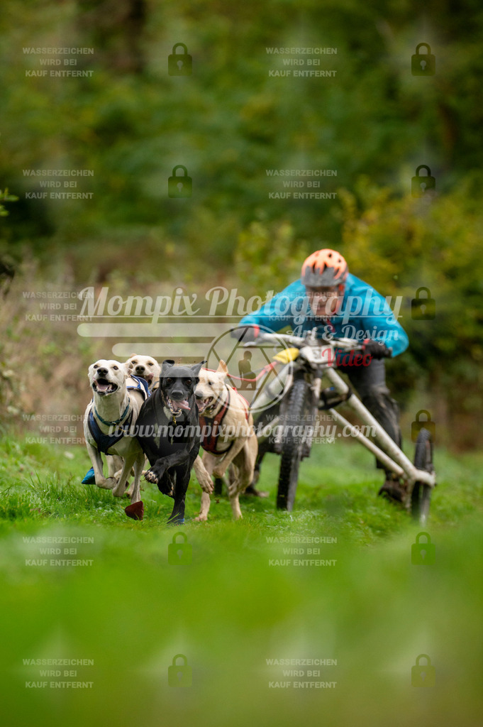 TSB_2023_E6_Kart-3 | PayLife