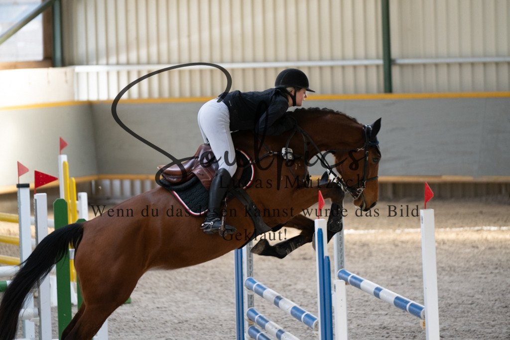 A7V02136 | Pferdefotograf