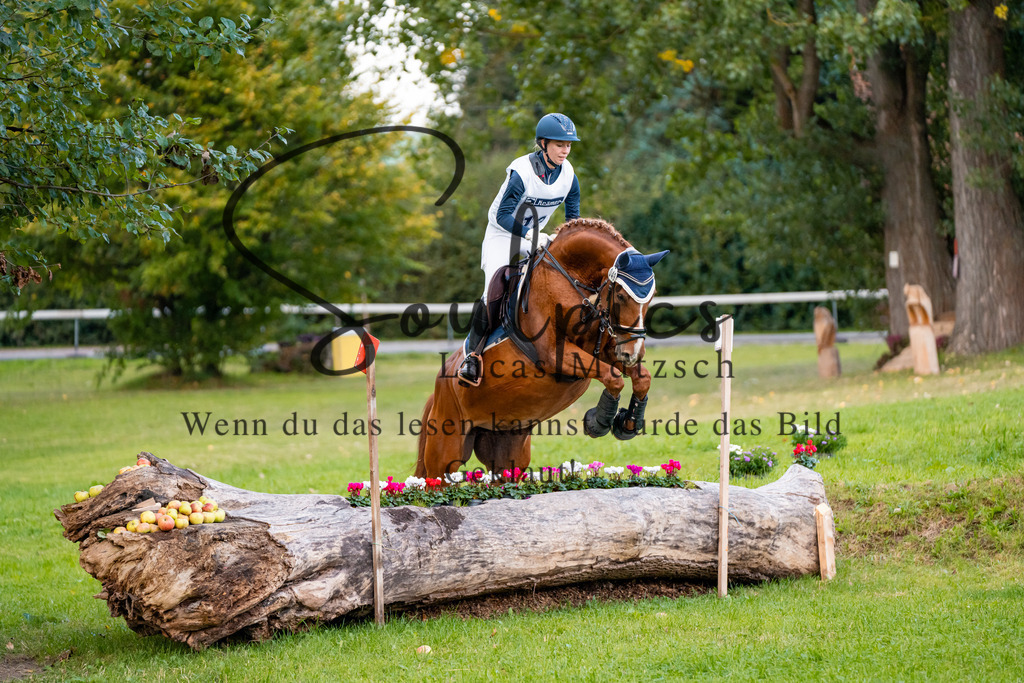 A7V02971 | Turnier/Reitfotograf
