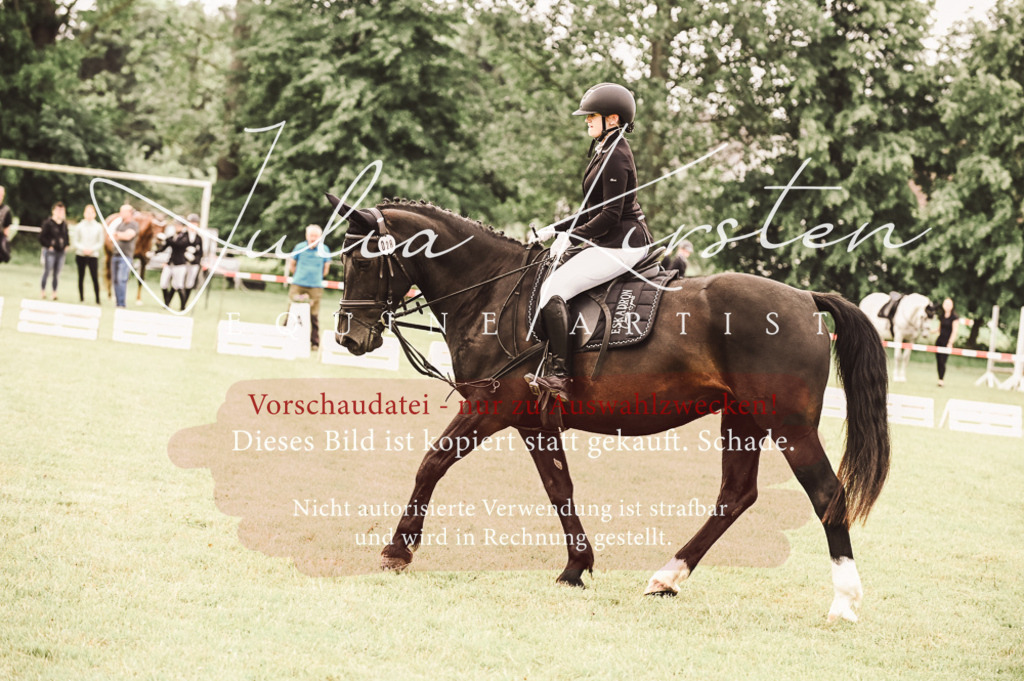 DSC_4903 | Pferde- und Turnierfotografie in Westsachsen. Pferdeportraits, Auftragszeichnungen und intuitive Kunst.