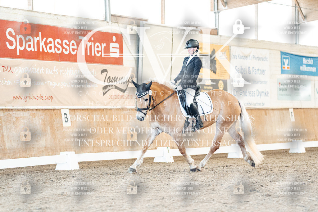 CK907108 | Turnierfotografie Pferdefotografie Trier Rheinland-Pfalz Pferdesport Reitsport Tierfotografie Sportfotografie Pferdevideo Pferdevideografie Equestrianvideography equestrianphotography  - Realized with Pictrs.com