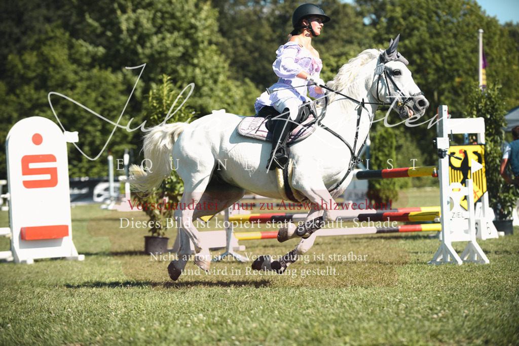 DSC_7563 | Pferde- und Turnierfotografie in Westsachsen. Pferdeportraits, Auftragszeichnungen und intuitive Kunst.