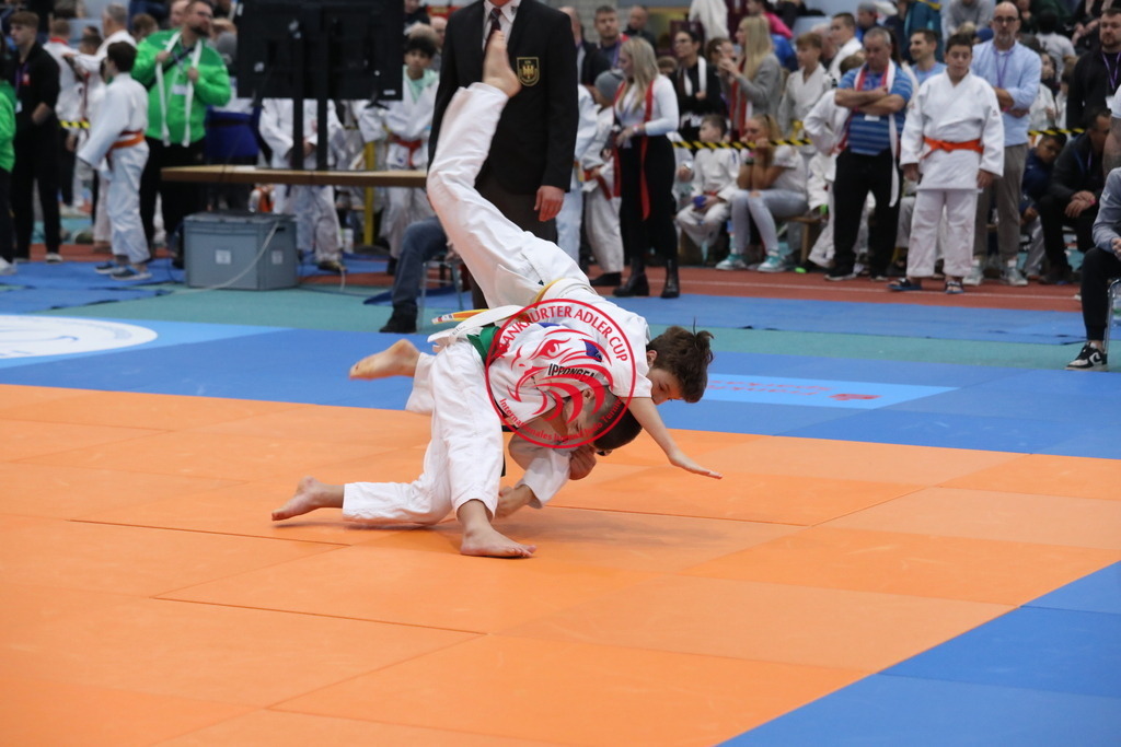 1J7A2407 | Fotos vom Adler Cup - Pictures from Adler Cup

Hier findet Ihr alle Eindrücke und großen Momente der Adler Cup Wochenenden. Here you will find all impressions and great moments of the Adler Cup weekends. - Realisiert mit Pictrs.com