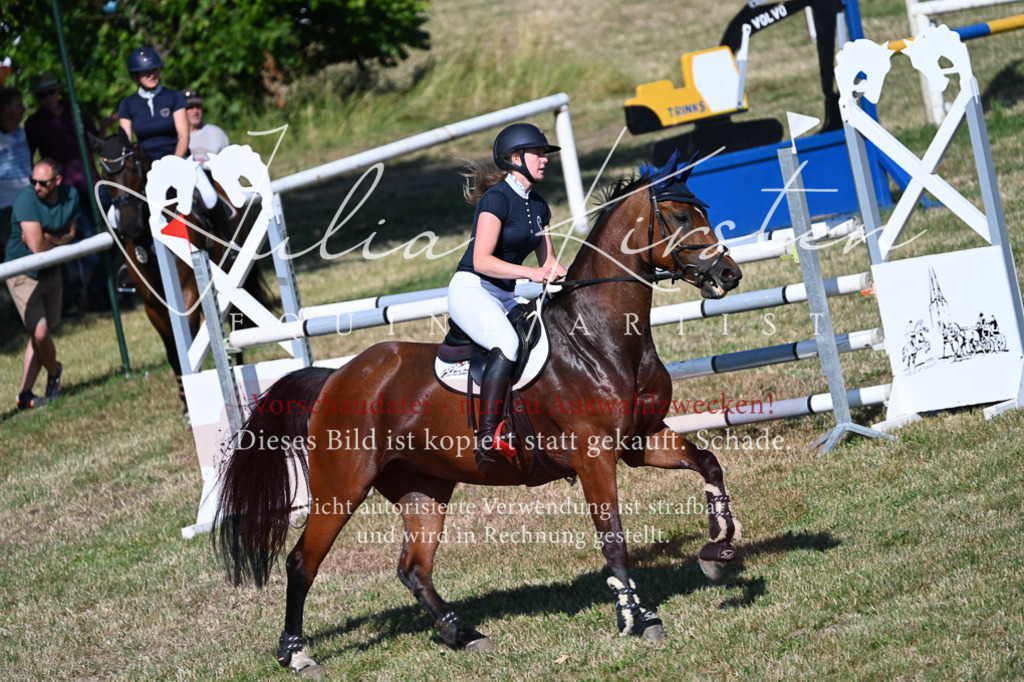 DSC_2092 | Pferde- und Turnierfotografie in Westsachsen. Pferdeportraits, Auftragszeichnungen und intuitive Kunst.