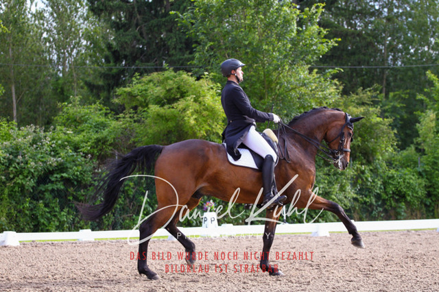 DKP41756 | Turnierfotos kaufen im Webshop von Daniel Kuhl Photography – entdecke professionelle Reitsportfotos aus Turnieren & Events. Hochwertige Turnierbilder online bestellen & sichern. Jetzt Fotos von Reitsportturnieren kaufen!