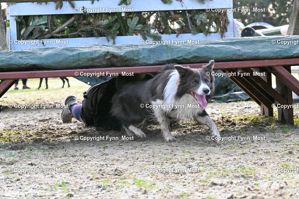 DSC_3337 | Hallo und herzlich Willkommen auf meiner Shop-Seite Fynn Most.

Ich wünsche Dir viel Spaß beim stöbern durch die Bilder, wenn Du Fragen hast oder Bilder vermisst, kannst du mir gerne eine Nachricht schreiben. - Realisiert mit Pictrs.com