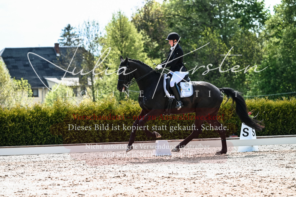 20230513_JK-Röhrsdorf-10-0649 | Pferde- und Turnierfotografie in Westsachsen. Pferdeportraits, Auftragszeichnungen und intuitive Kunst.