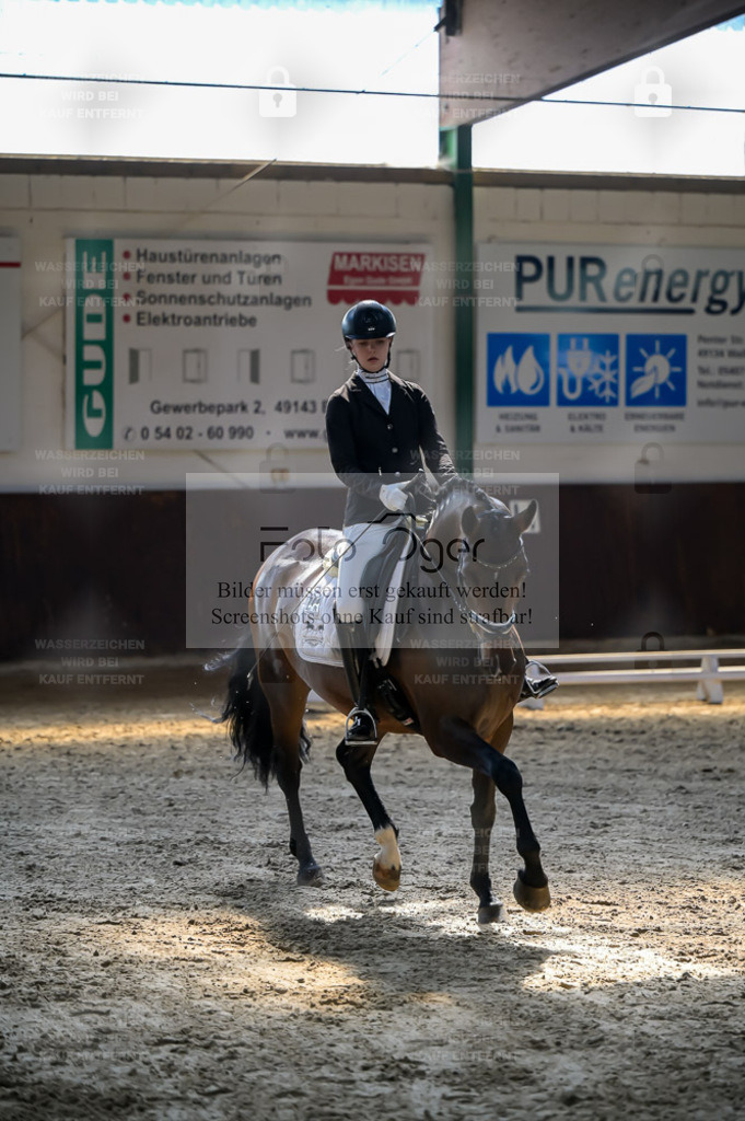 Reitturnier Voxtrup | Entdecke hochwertige Reitturnierfotos von Foto Oger. Professionell, emotional und authentisch – jetzt Lieblingsmomente im Shop bestellen. - Realisiert mit Pictrs.com