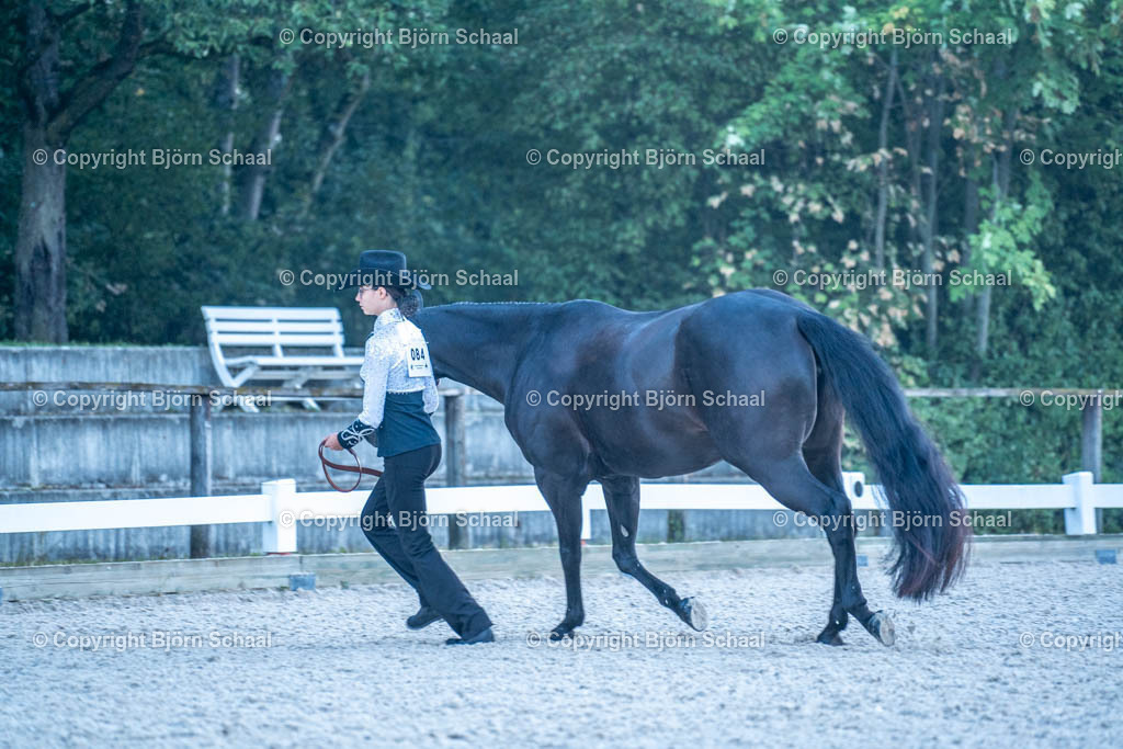 HOB07578 | BS-foto