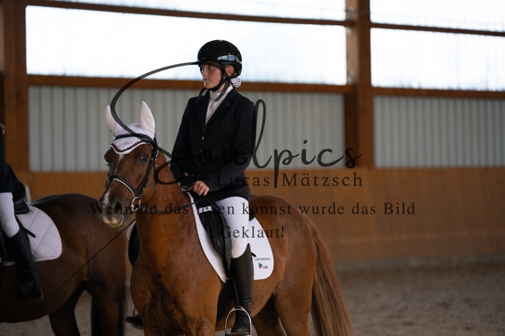 A7V02151 | Turnier/Reitfotograf