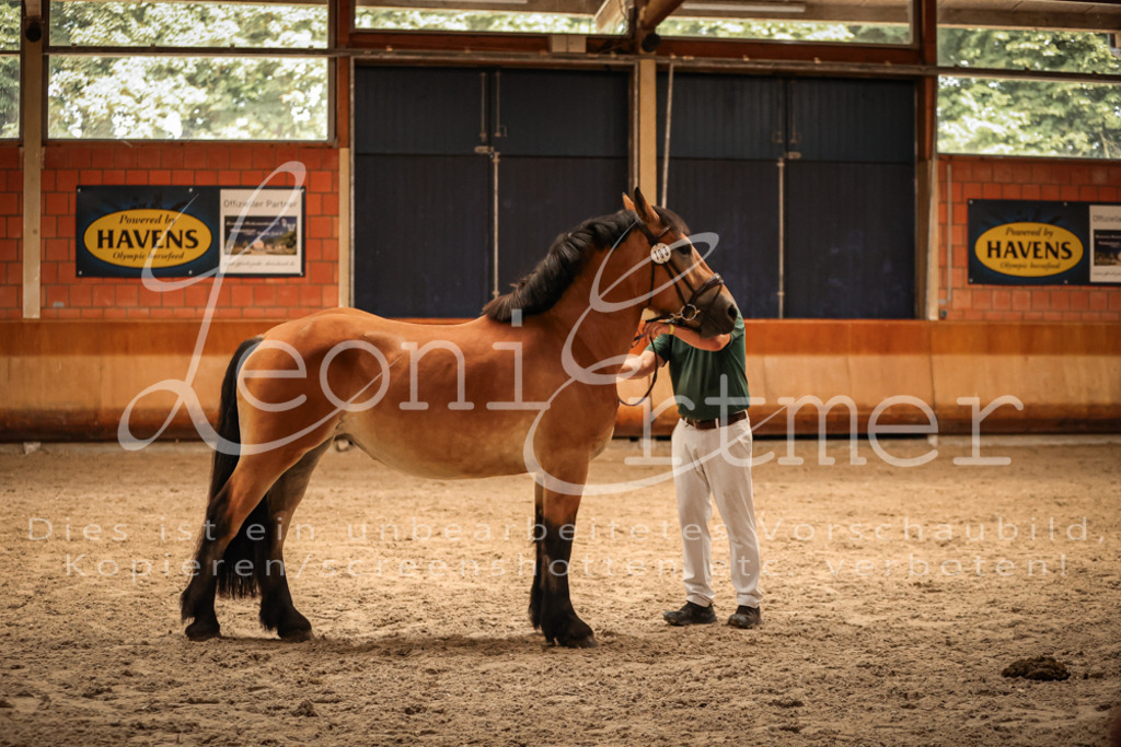 SaFL00282 | Leoni Ertmer Photography - Realisiert mit Pictrs.com