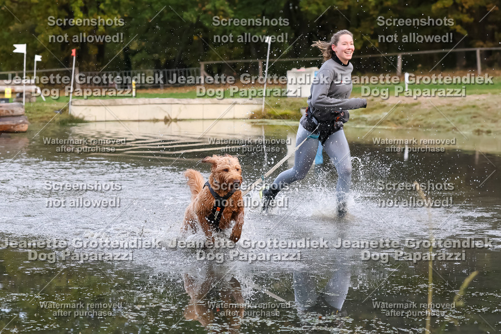 Dog Paparazzi - Strongdog 10-25-6448 | Dog Paparazzi Jeanette Grottendiek Fotografie & Videografie - Realisiert mit Pictrs.com