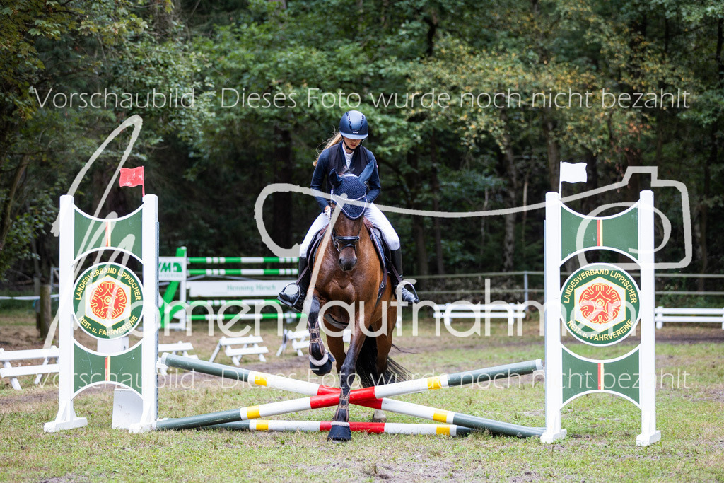 HB-Caprilli-006 | MomenTaufnahmen Pferdesportfotos