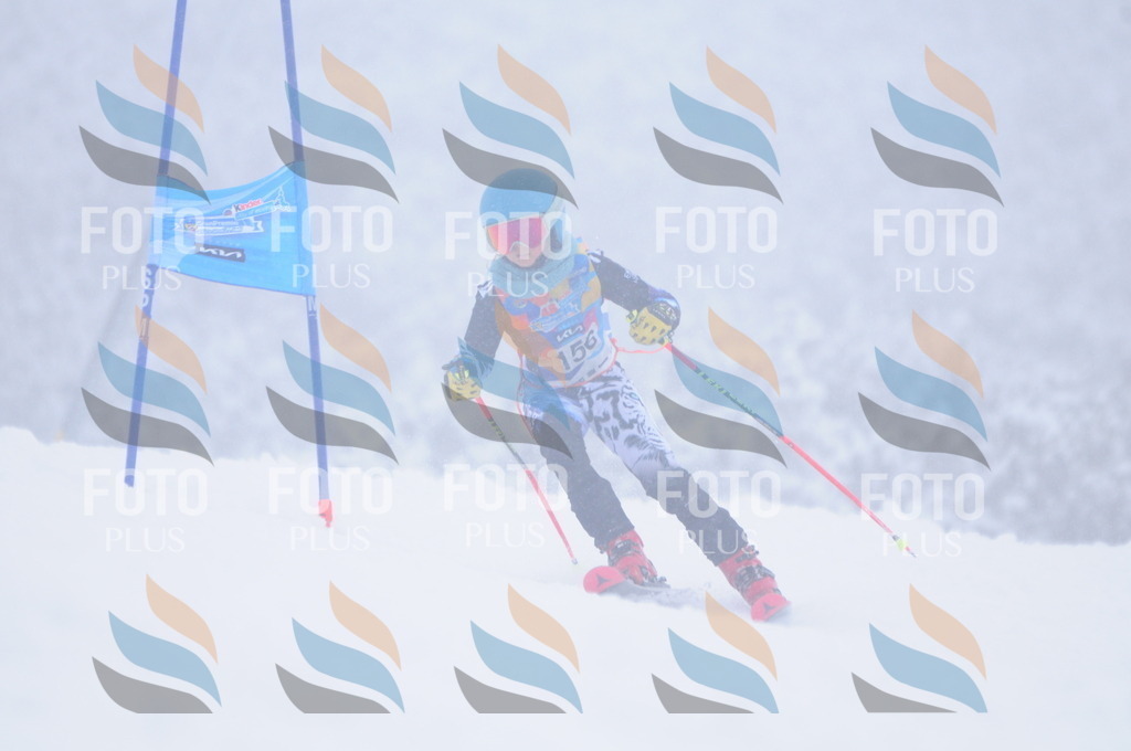 C1850 | holidayphoto