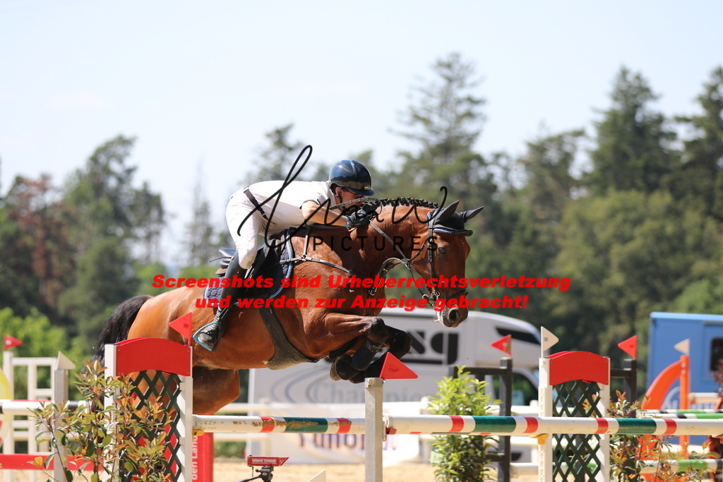 IMG_2844 | lmwpictures - Realisiert mit Pictrs.com